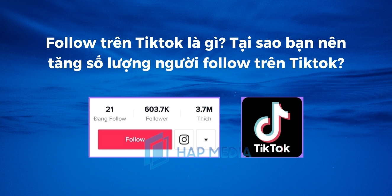 Follow Tiktok là gì? Tại sao nên tăng số lượng follow Tiktok