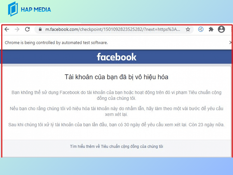 HAP MEDIA